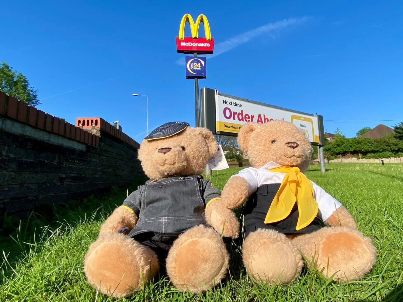 McDonalds bears